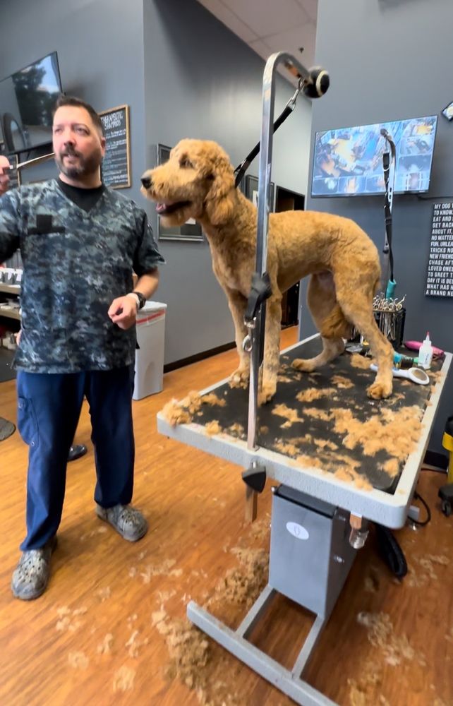 BACKYARD PET SPA & BOUTIQUE Updated August 2024 236 Photos & 196