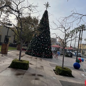 River Park Shopping Center - Pretty tree! - Shopping Centers Near Me - Fresno, California River Park Shopping Center - Pretty tree! - Shopping Centers Near Me - Fresno, California