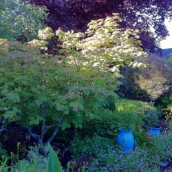 South Coast Inn - Small part of the garden