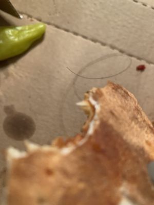 Papa Johns Pizza by null