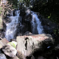 Land Trust of Napa County - Linda Falls from the bottom