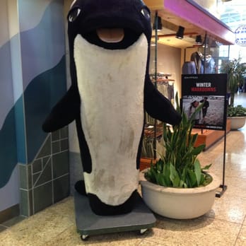 Discover Puget Sound - Huge orca stuffed animal in front if the store. - Arts & Crafts Near Me - Seattle, Washington Discover Puget Sound - Huge orca stuffed animal in front if the store. - Arts & Crafts Near Me - Seattle, Washington