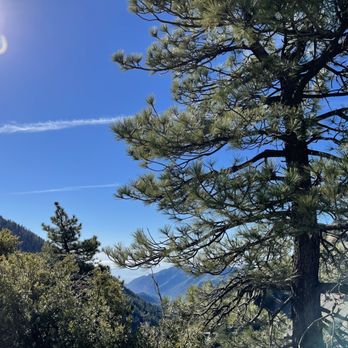 Old Mt. Baldy Trail - Hiking Near Me - Mount Baldy, California