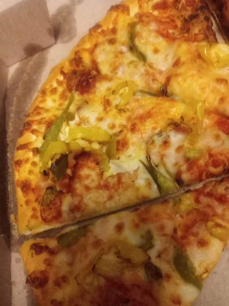 Domino's Pizza Logo
