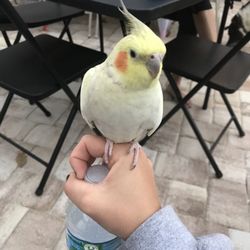 Exotic Pet Center
