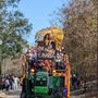 Krewe of Nefertiti