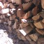 Photo of Stassi's Outdoor Services