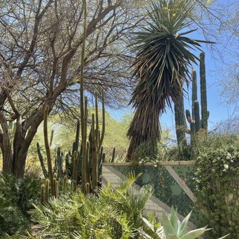 Desert Botanical Garden - Botanical Gardens Near Me - Phoenix, Arizona