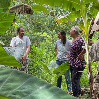 KEY Project - 'Aina Programs - Community Service/Non-Profit Near Me - Kaneohe, Hawaii