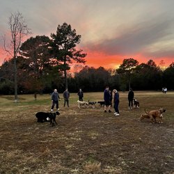 Lewes Unleashed - Beautiful sunset at the dog park!