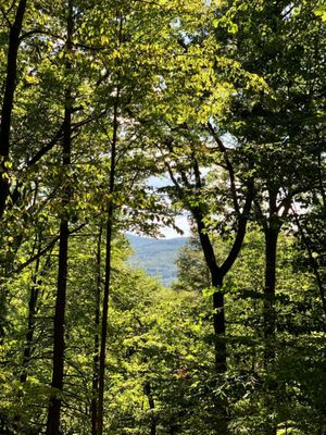 MANITOGA / The Russel Wright Design Center by null