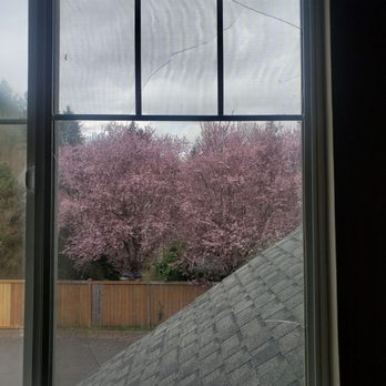 Arco Glass - Window before Arco replaced it. - Windows Installation Near Me - Seattle, Washington
