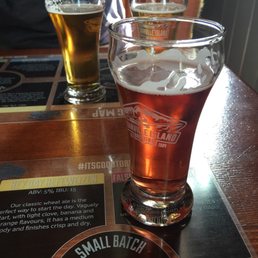 Raspberry Ale