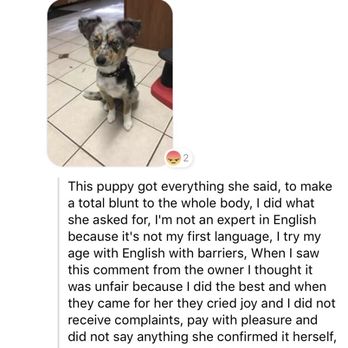 Connie's Pet Grooming Salon - Her false claim. I came in 2 days later, because the day after they were closed. Never talked about cutting the whole body. - Pet Groomers Near Me - Provo, Utah