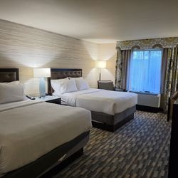 Holiday Inn Express & Suites Warwick-Providence - Room