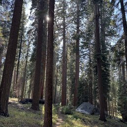 Mid-hike in the Sequoia National Park Mid-hike in the Sequoia National Park