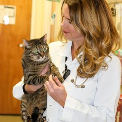 Alliance Animal Hospital