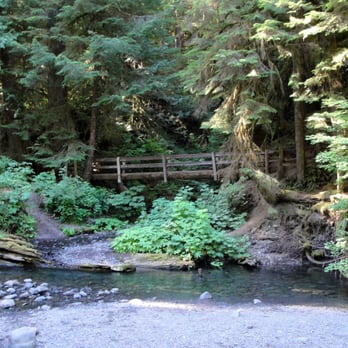 Marymere Falls - really pretty view of Barnes Creek - Hiking Near Me - Port Angeles, Washington