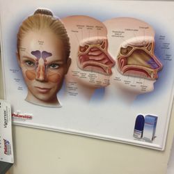 Sukra Vanessa MD - Office poster