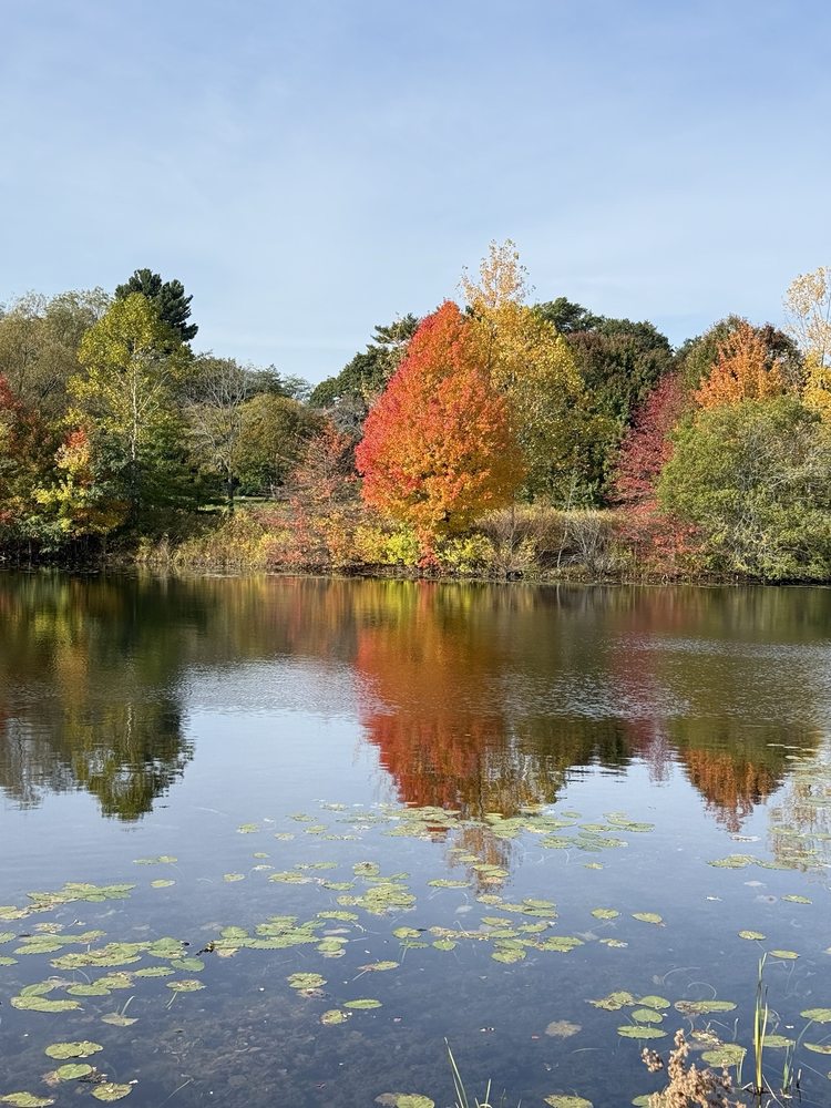 Fresh Pond Image