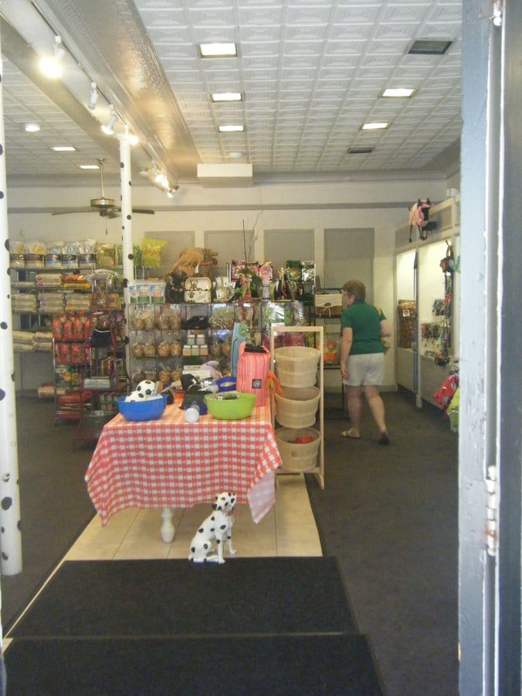 BONE APPETIT DOG STORE Updated September 2024 102 Main St, East