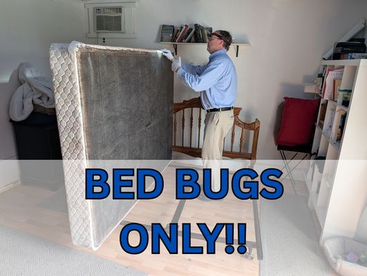 Bed Bug Inspection And Treatment near Me: Fast, Effective Solutions
