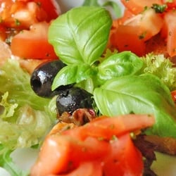 Ristorante Pizzeria Primavera