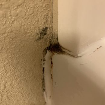 Holiday Inn Express & Suites Cullman - More mold in bathroom - Hotels Near Me - Cullman, Alabama Holiday Inn Express & Suites Cullman - More mold in bathroom - Hotels Near Me - Cullman, Alabama