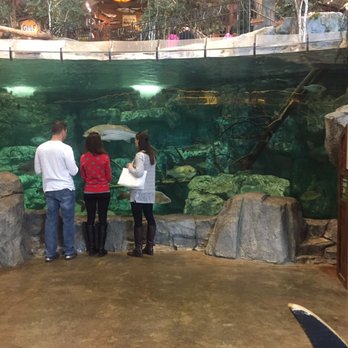 Bass Pro Shops - Outdoor Gear Near Me - Foxborough, Massachusetts