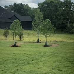 Adcock Nursery Outlet - Large Heathy trees. Just beautiful.