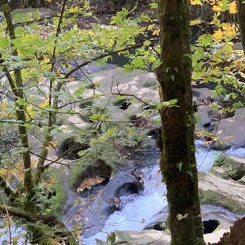 Lacamas Creek Trail - Potholes - Hiking Near Me - Camas, Washington Lacamas Creek Trail - Potholes - Hiking Near Me - Camas, Washington