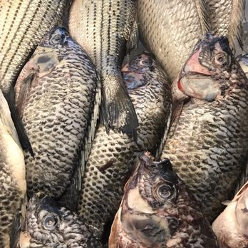 Paige Seafood - Bass - Seafood Markets Near Me - Beaumont, Texas Paige Seafood - Bass - Seafood Markets Near Me - Beaumont, Texas