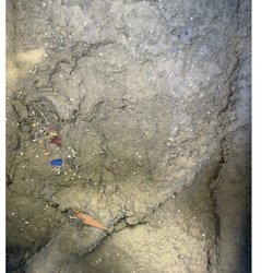 Better Air Northwest - Air filter before (GROSS)
