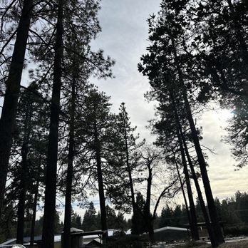 Mount San Jacinto State Park - view from 22 in the other direction (buildings, but only the outer loop on one side had this issue, look at the map and you can avoid it!) - Parks Near Me - Idyllwild, California
