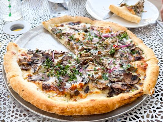 Sonoma Pizza Co. by null