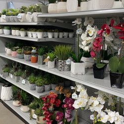 At Home - Artificial plants for the win.