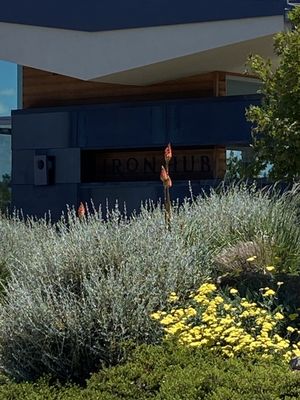 Iron Hub Winery by null