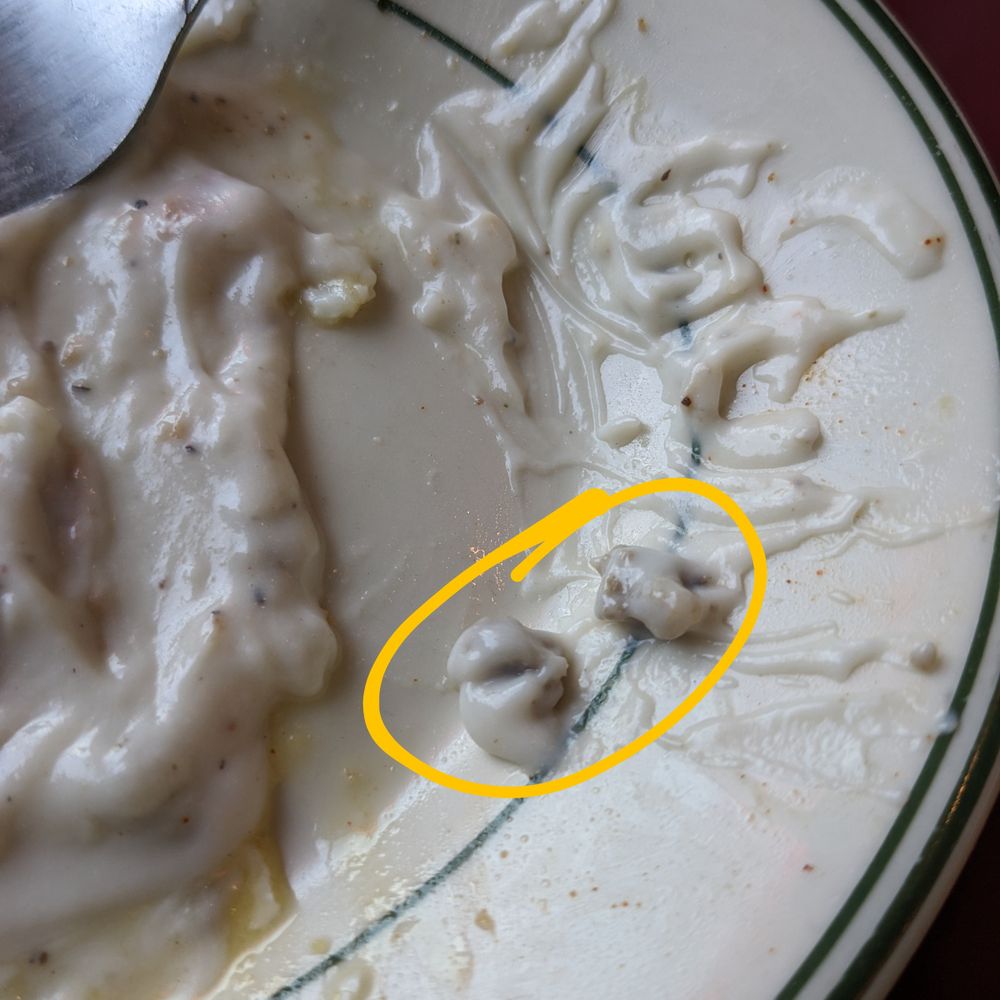 Hogan's Diner - THIS is what Hogan's calls "sausage" gravy. TWO TINY pieces of "sausage" about the size of a pencil eraser. - Diners Near Me - Spokane, Washington Hogan's Diner - THIS is what Hogan's calls "sausage" gravy. TWO TINY pieces of "sausage" about the size of a pencil eraser. - Diners Near Me - Spokane, Washington
