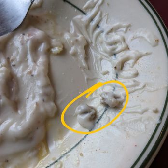 Hogan's Diner - THIS is what Hogan's calls "sausage" gravy. TWO TINY pieces of "sausage" about the size of a pencil eraser. - Diners Near Me - Spokane, Washington Hogan's Diner - THIS is what Hogan's calls "sausage" gravy. TWO TINY pieces of "sausage" about the size of a pencil eraser. - Diners Near Me - Spokane, Washington