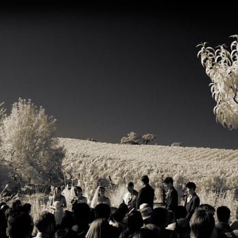 Little House Weddings - Venues & Event Spaces Near Me