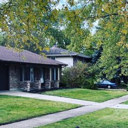 Chacon Landscaping - Leaf cleanup after