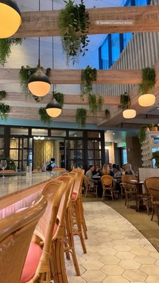 Sadelle's Coconut Grove by null