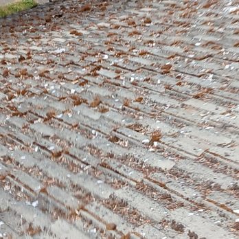 Beaverton Gutter Cleaning - Moss Removal Beaverton - Gutter Services Near Me - Beaverton, Oregon