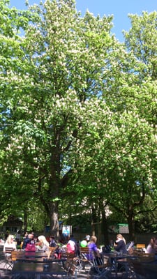 Restaurant Rosengarten by null