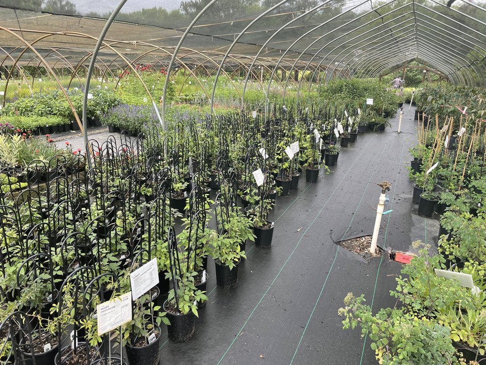 COLESVILLE NURSERY Updated August 2024 22 Photos & 16 Reviews