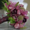 Jeri Solomon Floral Design gift card