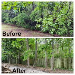 Dirty Digs Tractor Service - Fence line clean out.