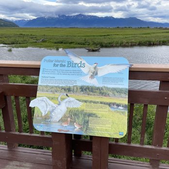 Potter Marsh - Parks Near Me - Anchorage, Alaska