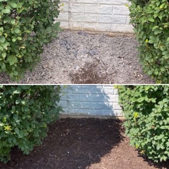 Regal Duct Cleaning - Lint that came out of the dryer vent duct. Photo doesn't do justice to the amount of lint which was removed. - Air Duct Cleaning Near Me