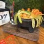 Taqueria y Mariscos Costa Alegre